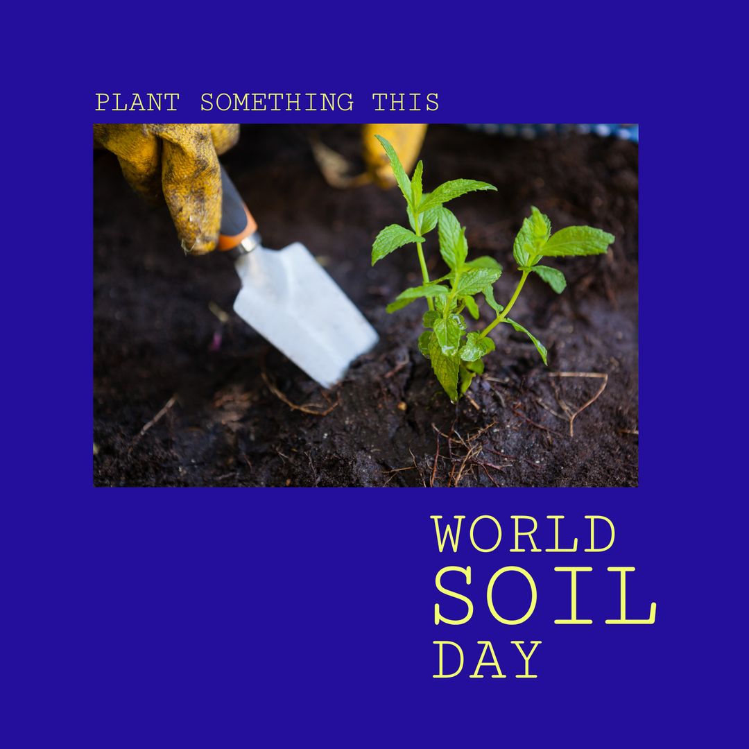 World Soil Day Celebration in Vibrant Garden