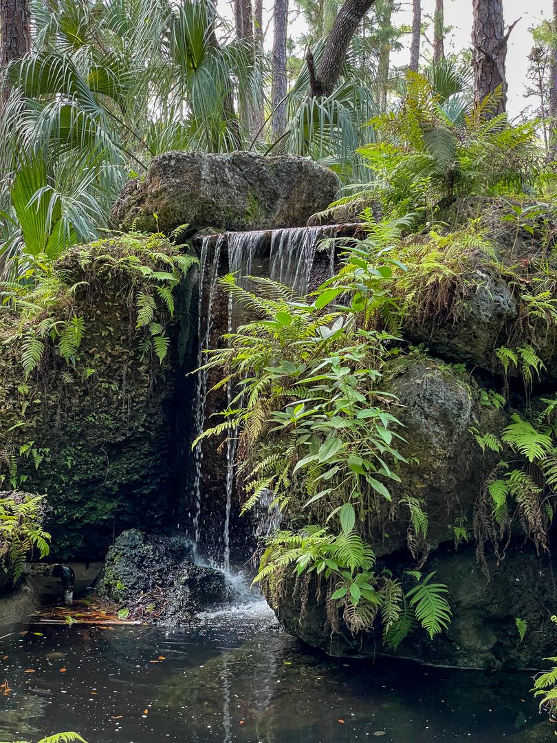 Serene Waterfall Cascading in Lush Tropical Forest