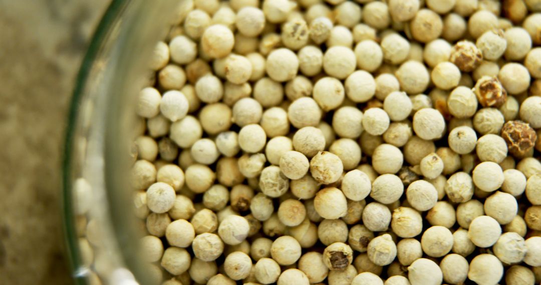 Close-Up of White Peppercorns in Glass Jar - Free Images, Stock Photos and Pictures on Pikwizard.com