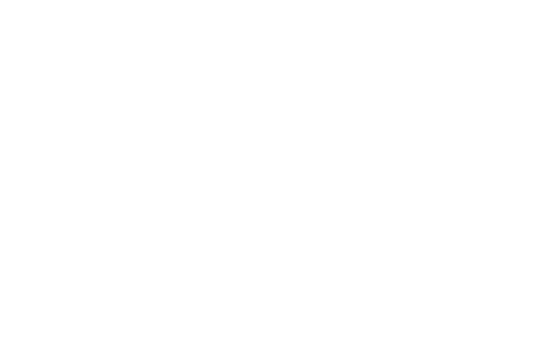 Intricate Transparent Floral Shapes White on Clear PNG