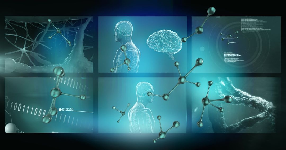 Global Medicine Research Interface and Data Processing Technology