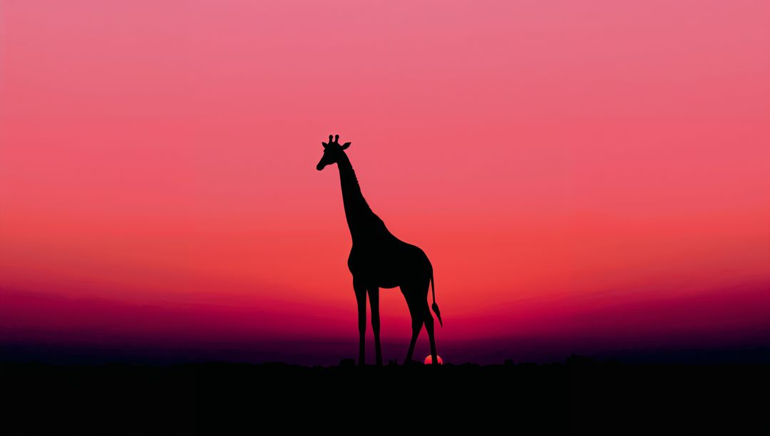 Majestic giraffe silhouette against vivid sunset sky