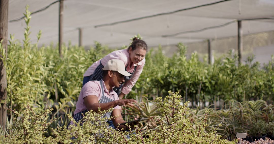 Diverse Coworkers Observing Plants at a Nursery Under Shade Netting
