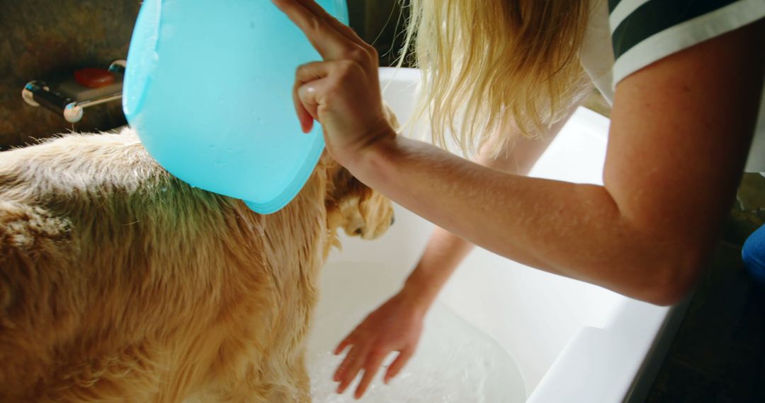 Woman Bathing Golden Retriever in Bathtub - Free Images, Stock Photos and Pictures on Pikwizard.com