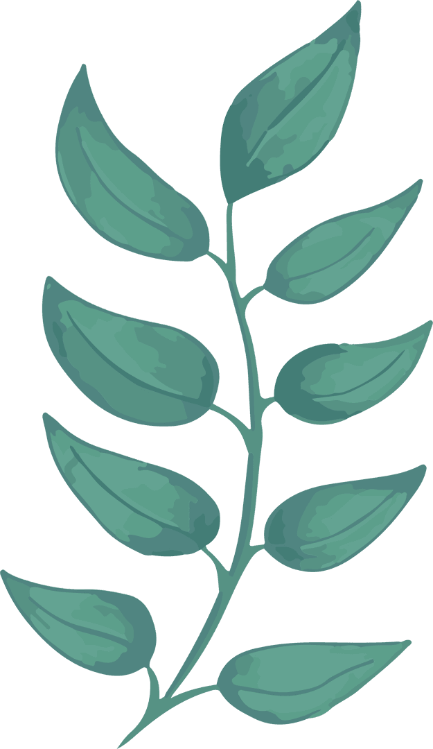 Watercolor Brush-effect Transparent Teal Botanical Branch