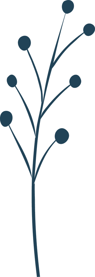 Abstract Botanical Branch with Circular Buds on Transparent Background