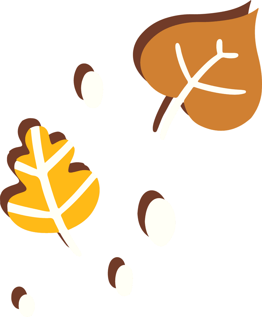 Stylized Autumn Leaves and Acorns on Transparent Background