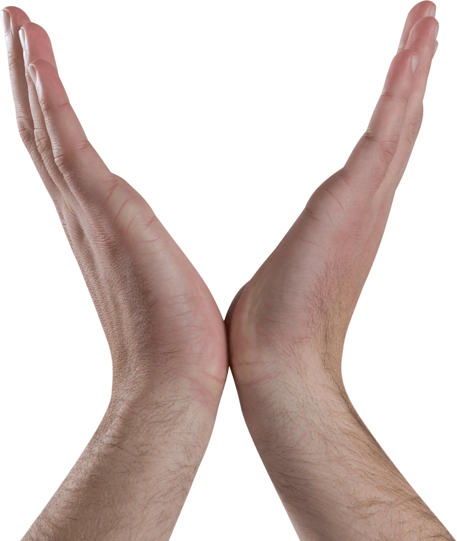 Hands Creating Bird Formation on Transparent Background
