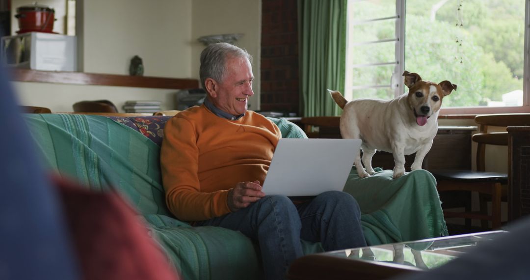 Senior Man Using Laptop at Home with Panting Dog on Couch - Free Images, Stock Photos and Pictures on Pikwizard.com