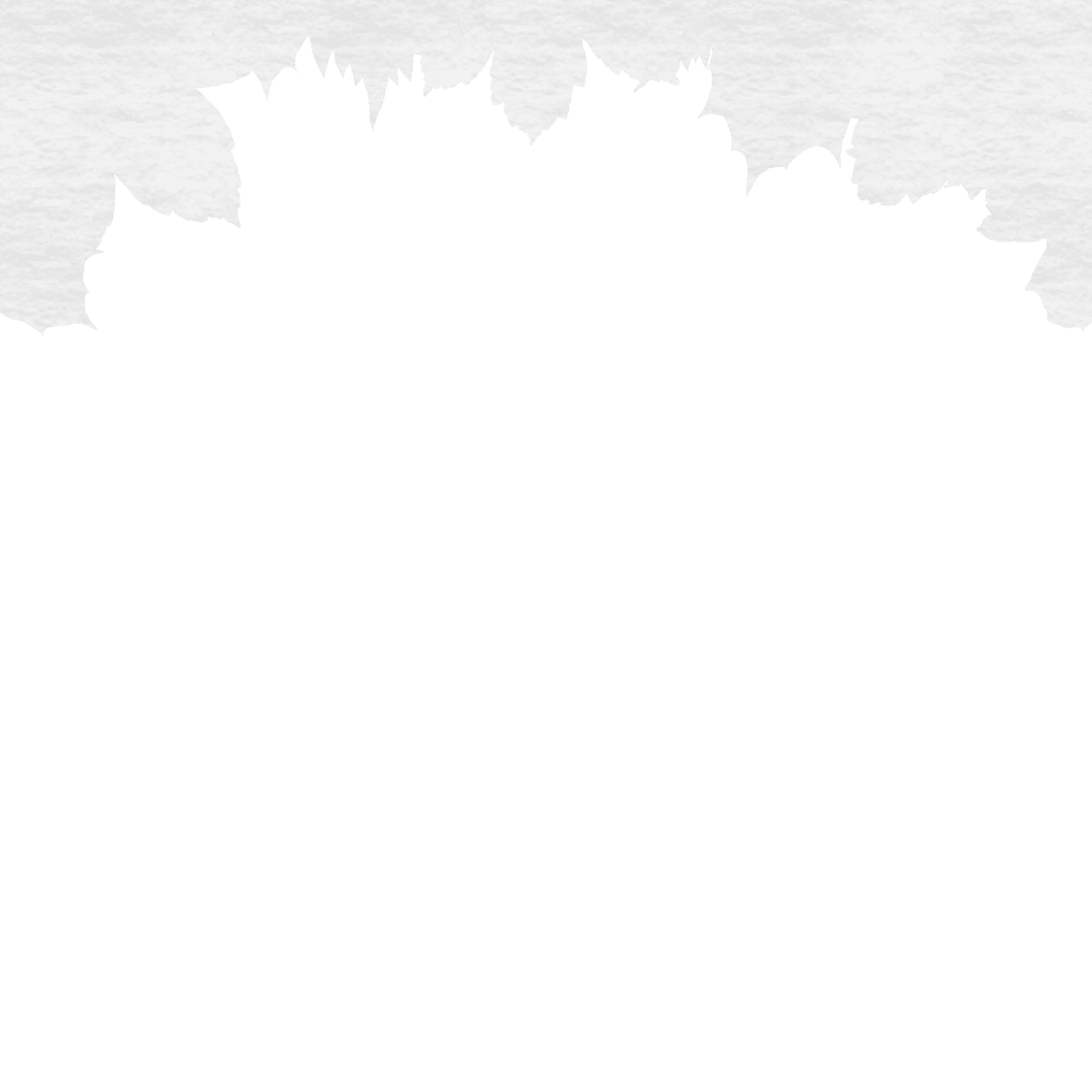 Silhouette of Leaves on Transparent Background Isolated Object