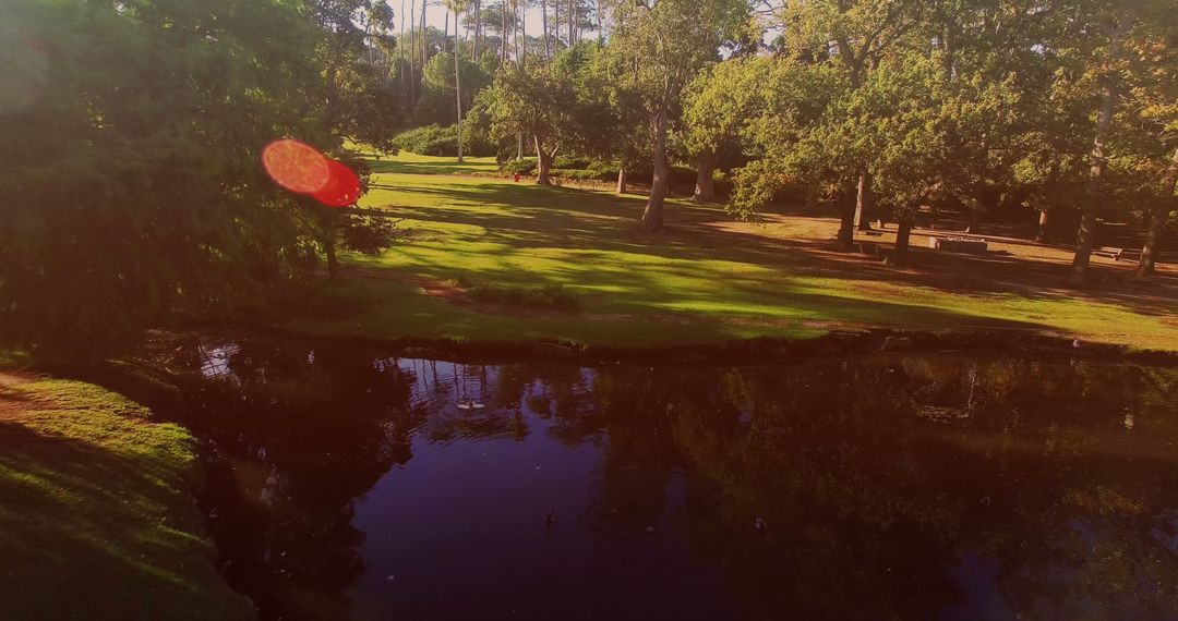 Serene Park with Lush Trees and Reflective Lake on Sunny Day