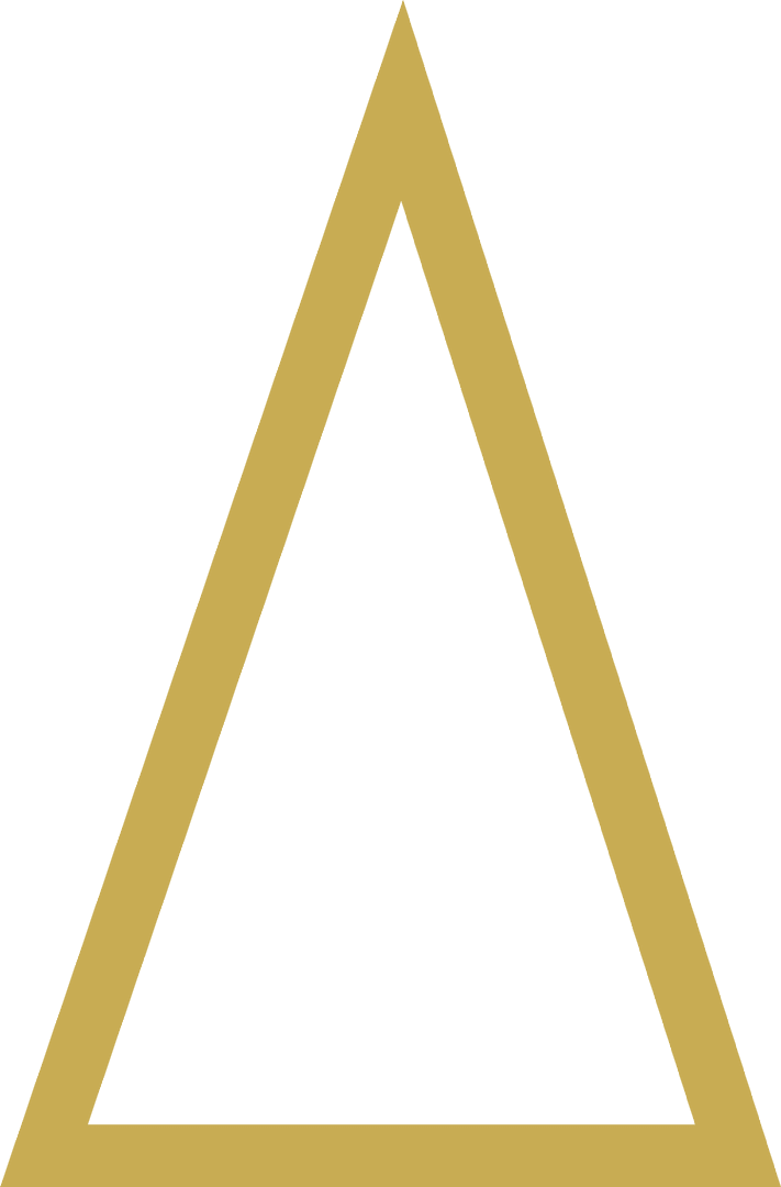 Transparent Golden Christmas Tree Unique Artwork