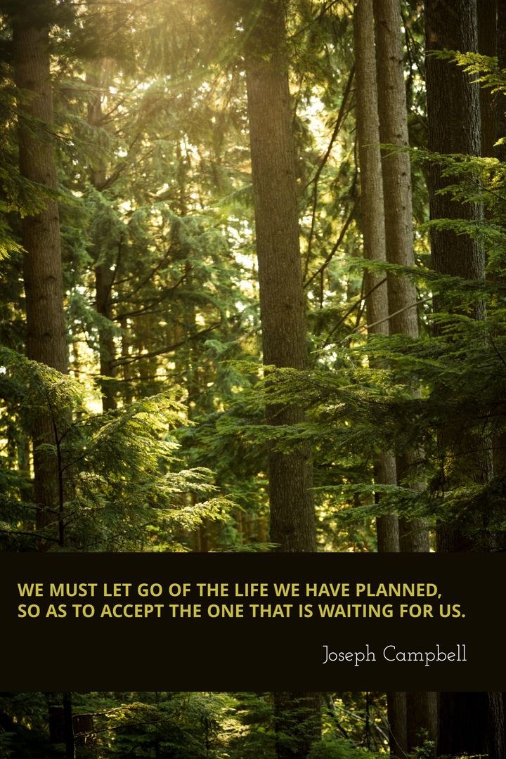 Serene Forest with Inspirational Quote Promoting Change - Download Free Stock Templates Pikwizard.com