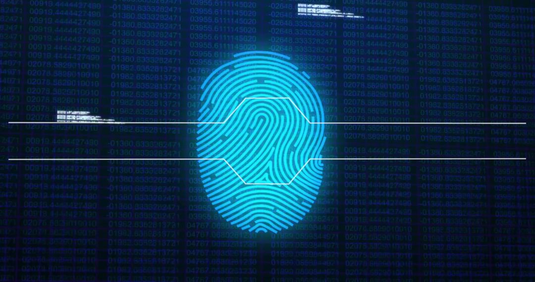 Digital Fingerprint with Cyber Data Connections