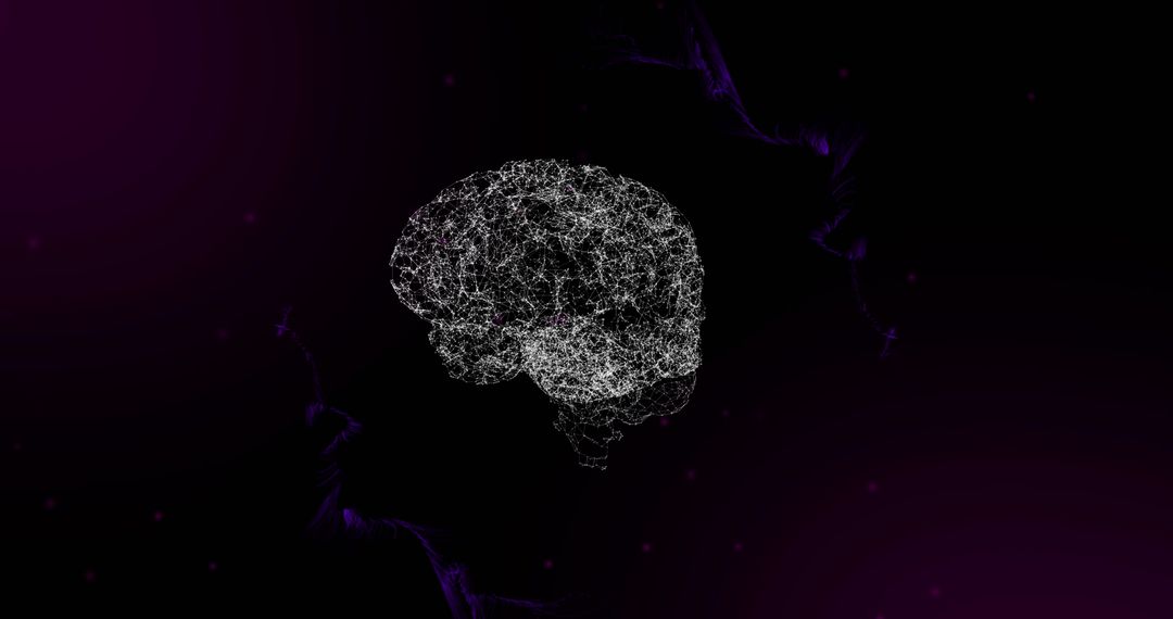 3D Human Brain with Purple Quantum Network Connections