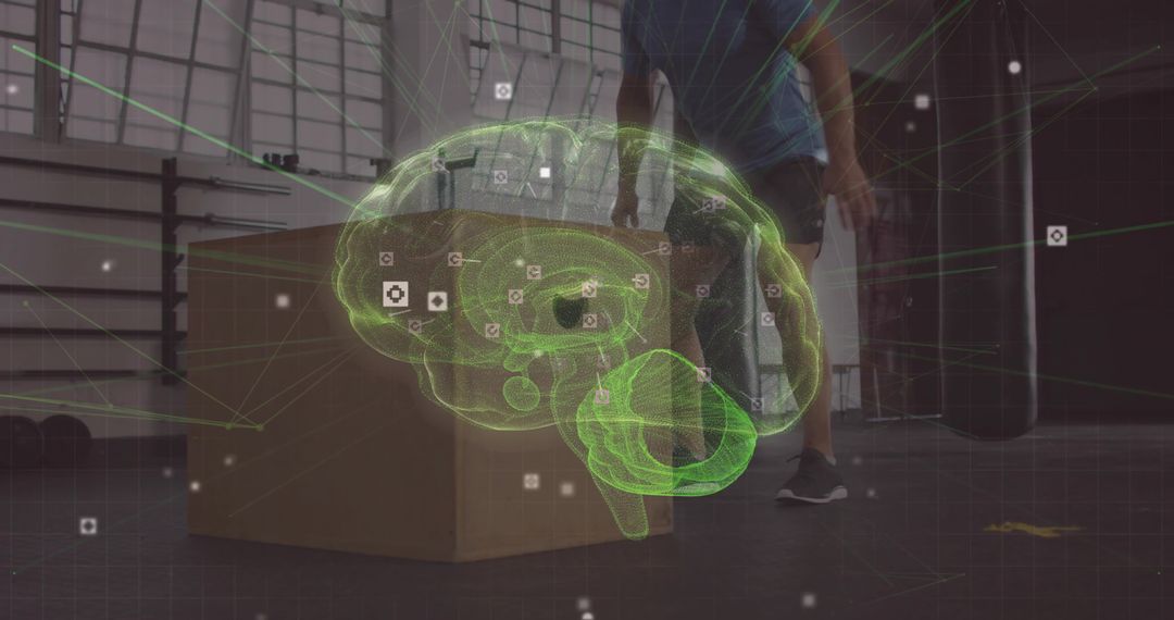 Augmented Reality Brain Interface in High-Tech Gym Environment