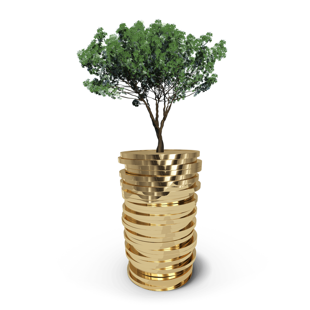 growing wealth concept with tree on coin stack transparent - Download Free Stock Images Pikwizard.com