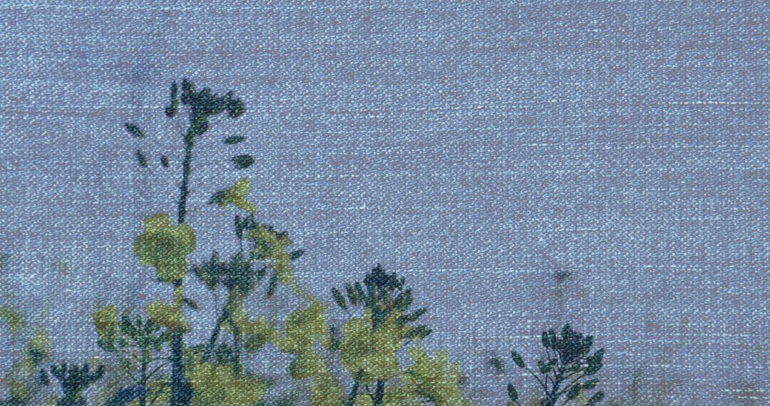 Denim Texture with Wildflowers and Grass in Breeze