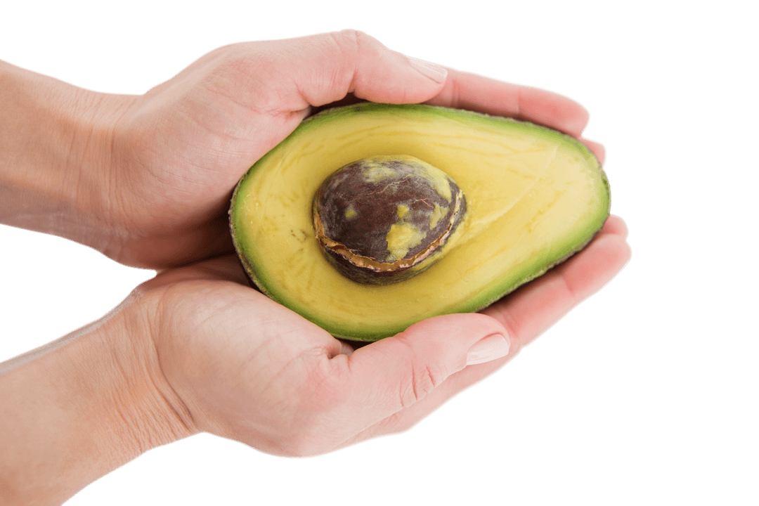 Close-Up of Woman Holding Fresh Transparent Avocado Halve