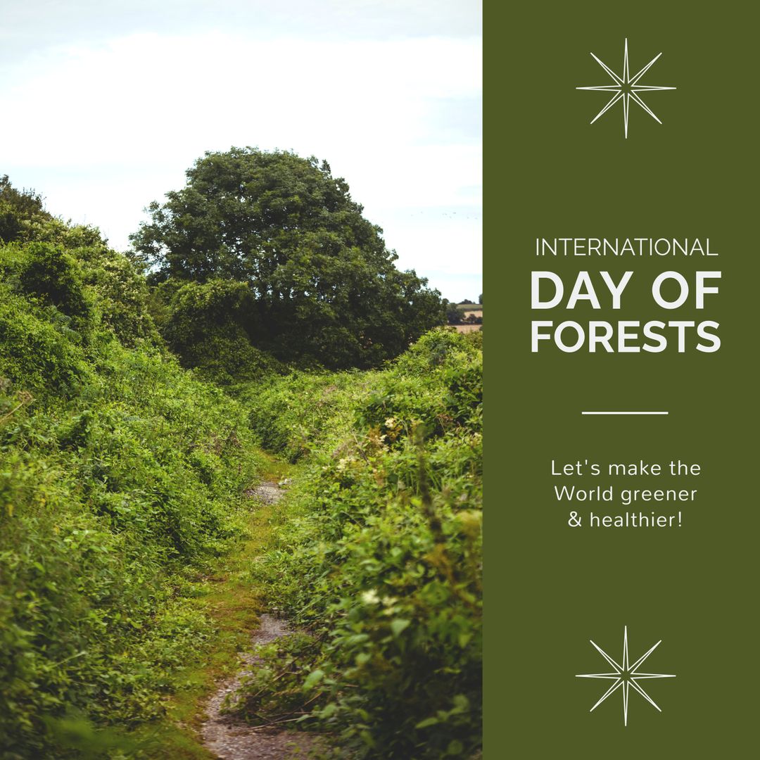 Green Pathway in Dense Forest on International Day of Forests