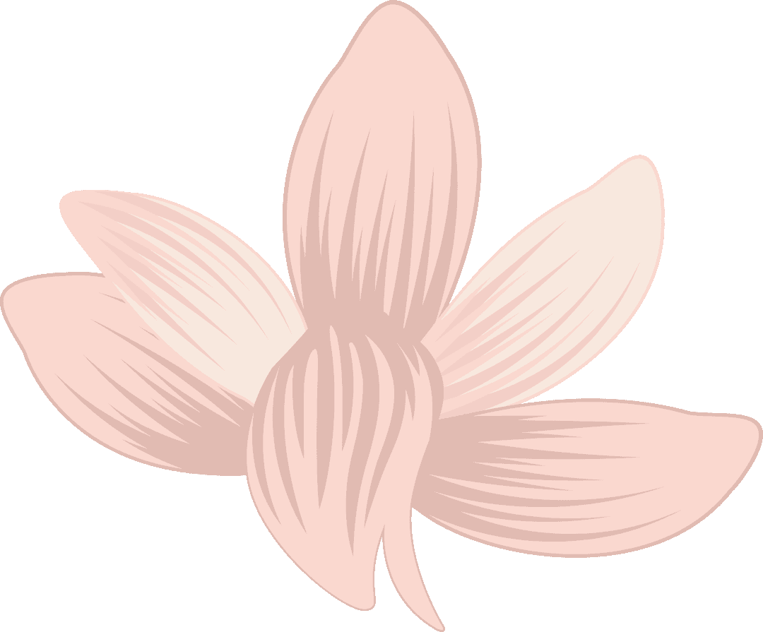 Minimalist Six-Petaled Flower on Transparent Background