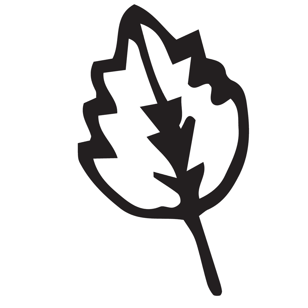 Modern Black Transparent Leaf Illustration on Clear Background