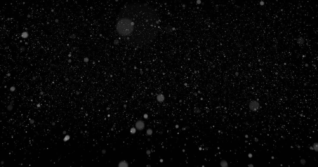 Falling Snowflakes on Black Background - Free Images, Stock Photos and Pictures on Pikwizard.com