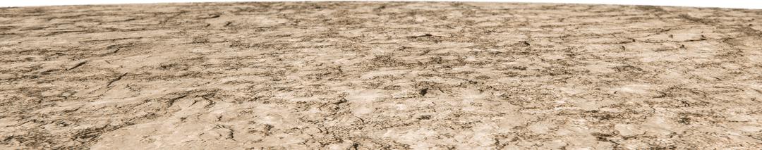 Transparent Textured Sandy Beach Ground Surface