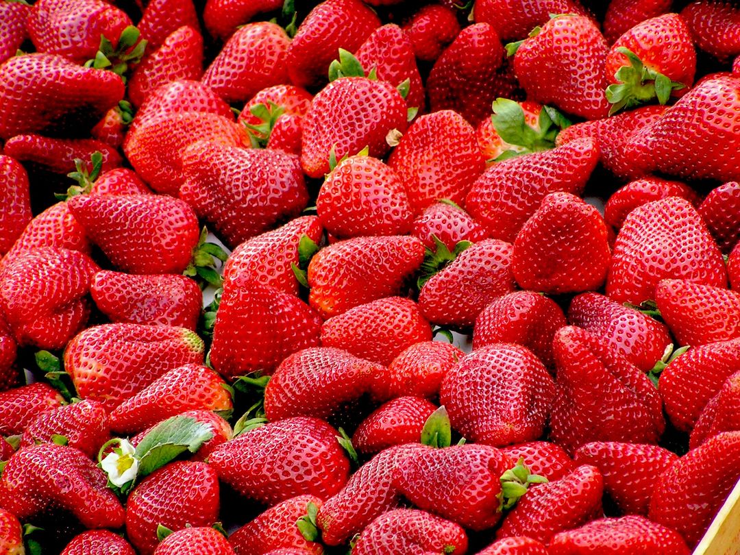 Fresh red strawberries piled together - Free Images, Stock Photos and Pictures on Pikwizard.com
