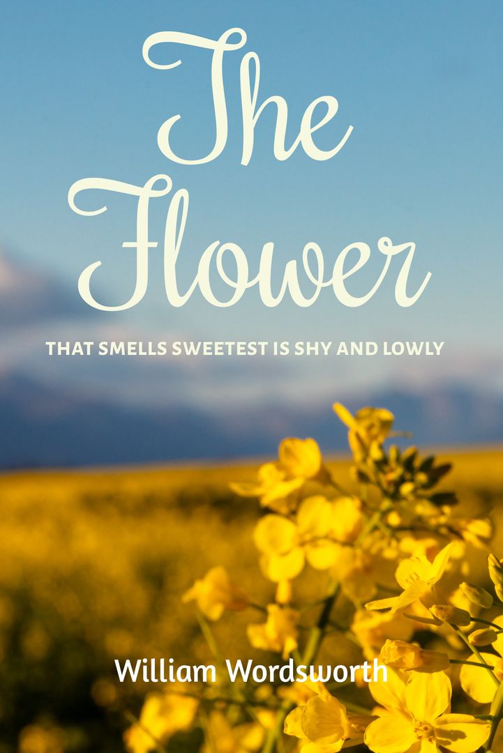 Serene Yellow Flower Field Under Clear Sky