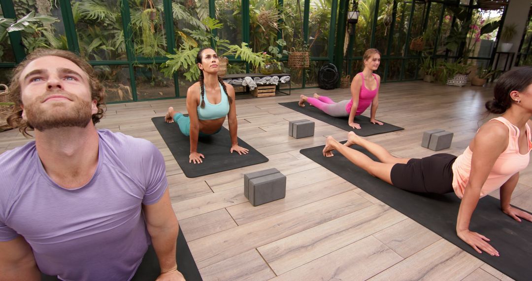 Group Practicing Upward Dog Pose in Serene Glass House