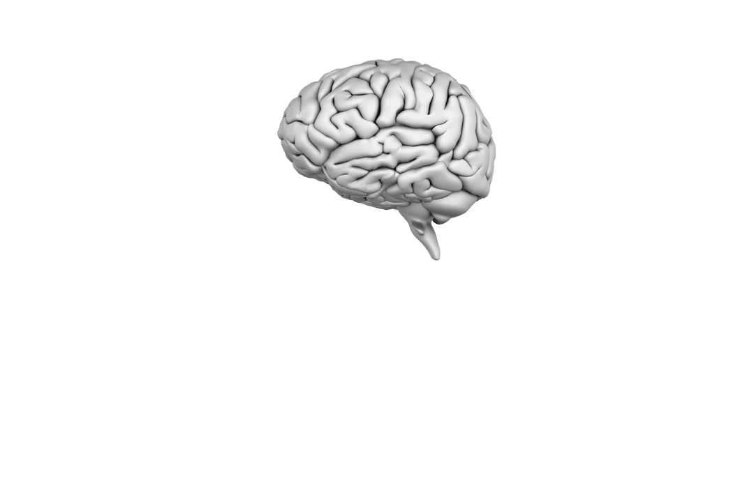 Digital Gray Human Brain on Transparent Background