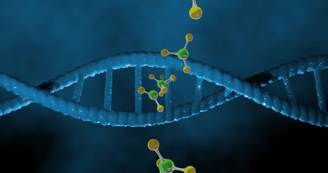 Molecular Structure Interacting with Spinning DNA