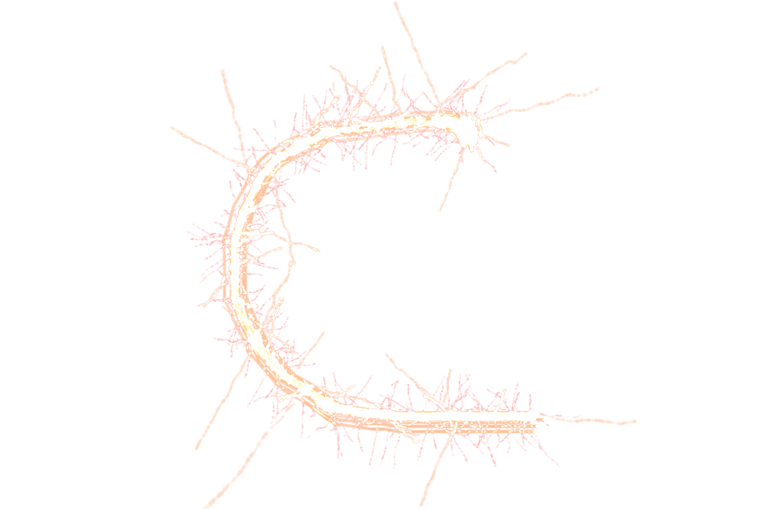 Intricate Pink Pyrotechnic Letter C on Transparent Background - Download Free Stock Images Pikwizard.com