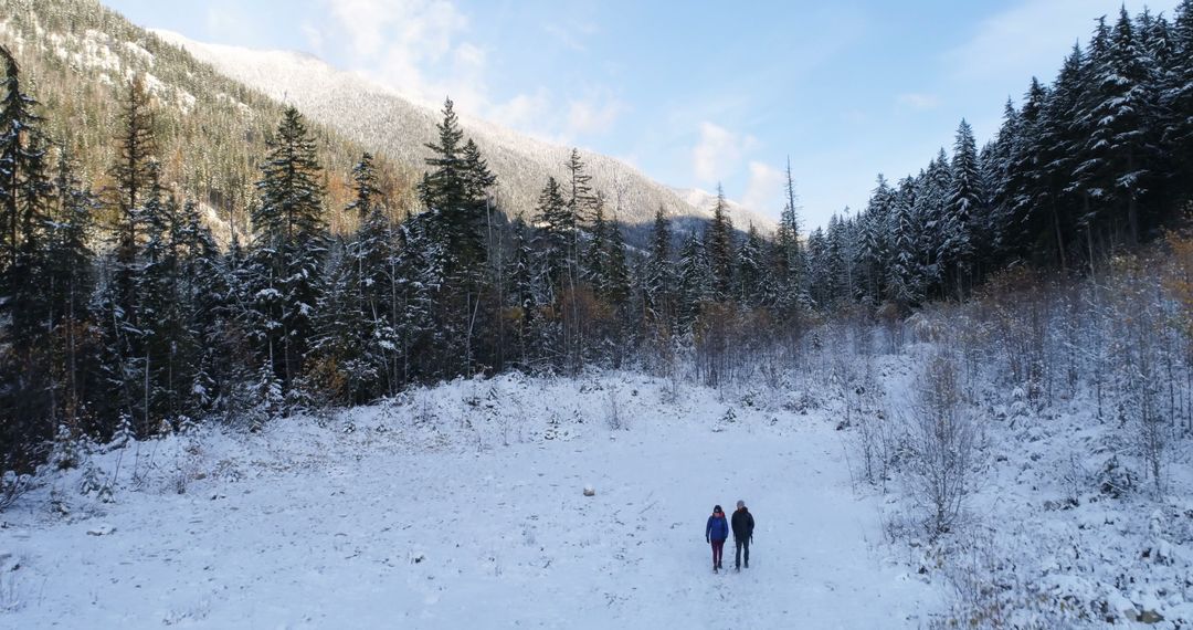 Adventurers Strolling Through Snowy Mountain Forest in Winter