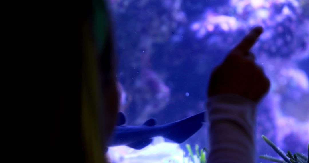 Silhouette of a Child Pointing at Fish in Aquarium