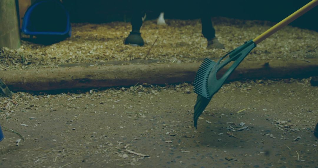 Gloved Hand Raking Shavings in Horse Stall for Maintenance