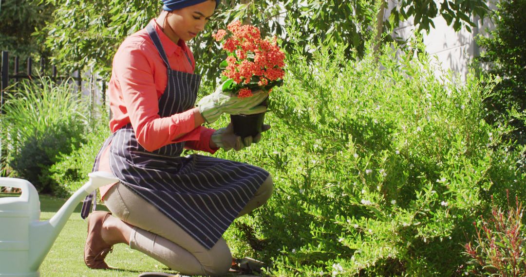 Image of biracial woman in hijab planting flowers in garden - Free Images, Stock Photos and Pictures on Pikwizard.com
