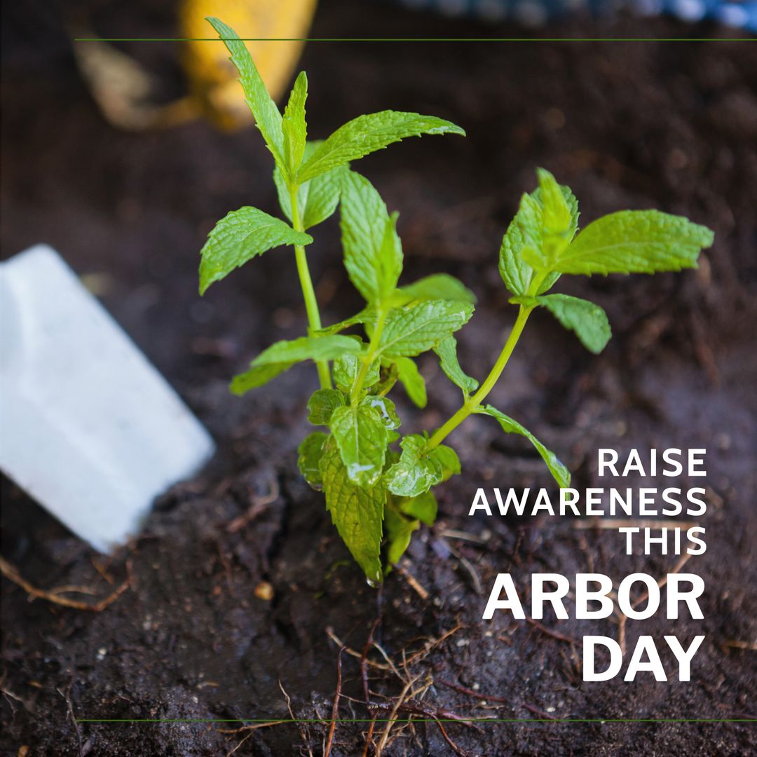 Promoting Arbor Day with Young Plant in Garden