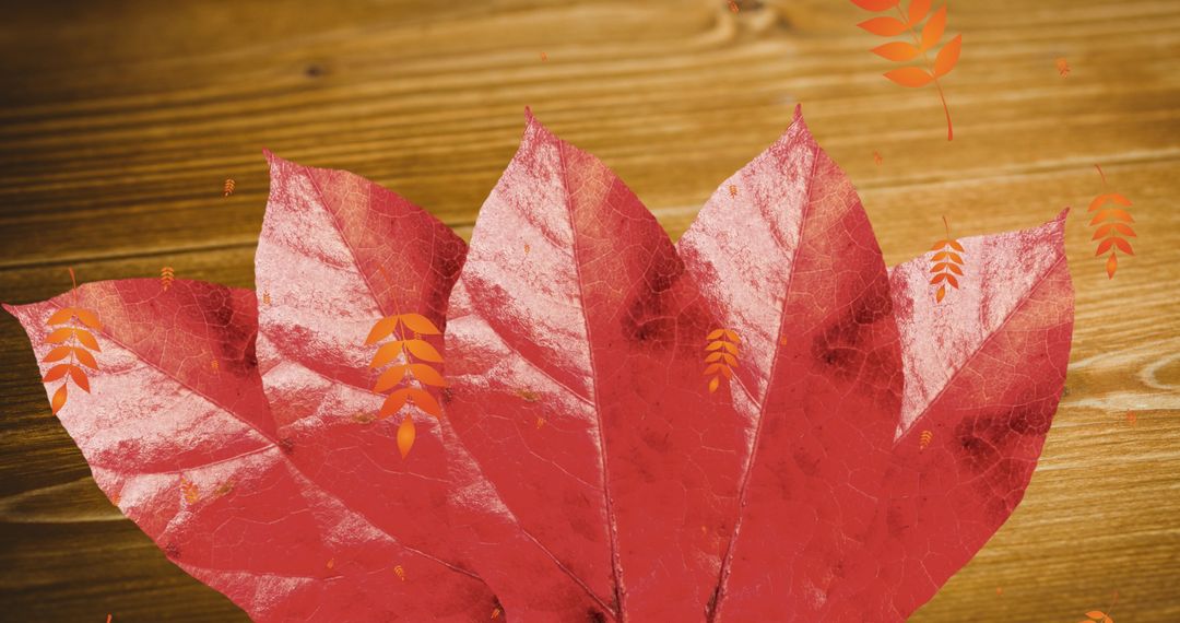 Autumn Maple Leaves with Falling Patterns on Wooden Surface