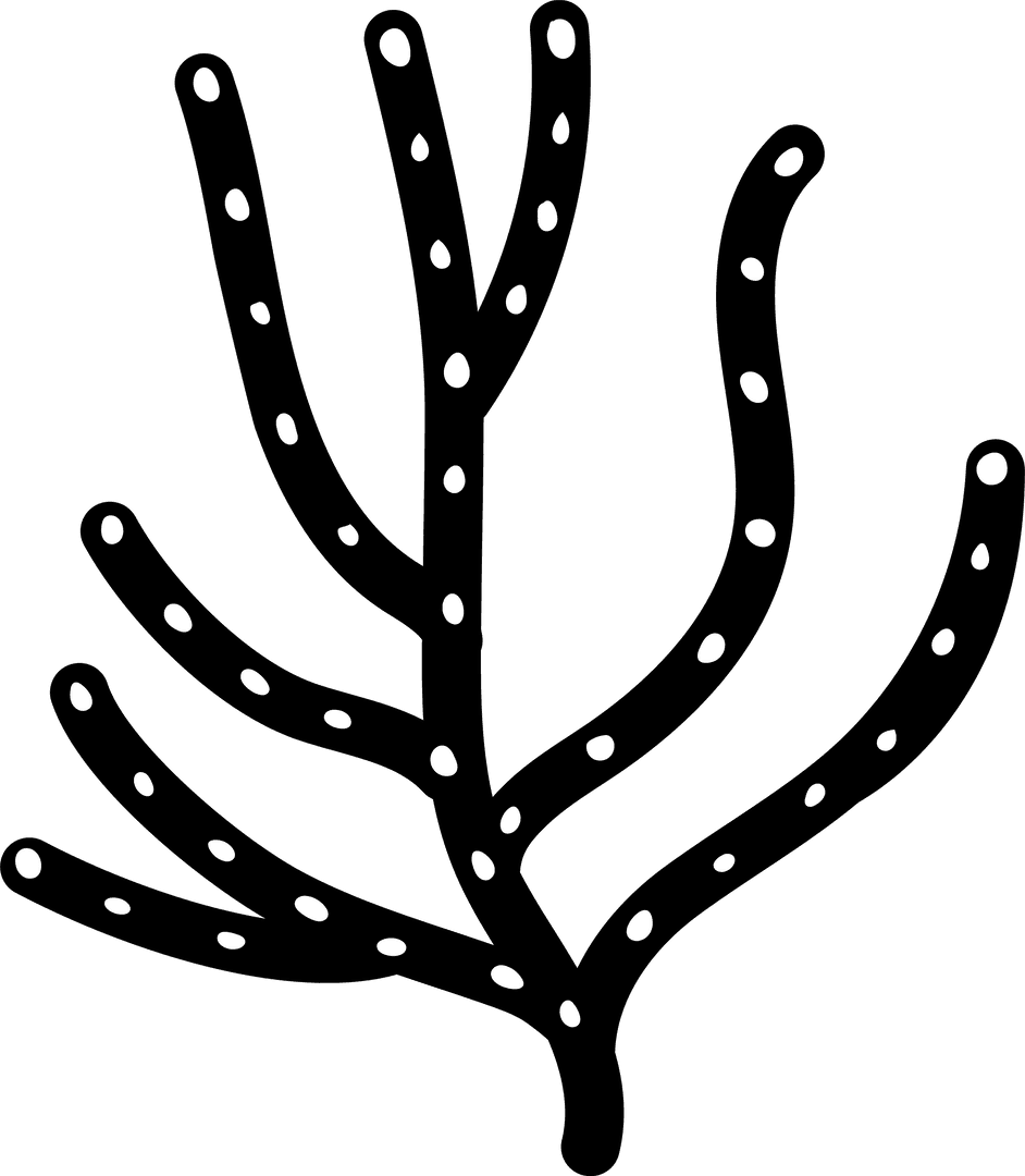 Abstract Black Branch with White Dots on Transparent Background