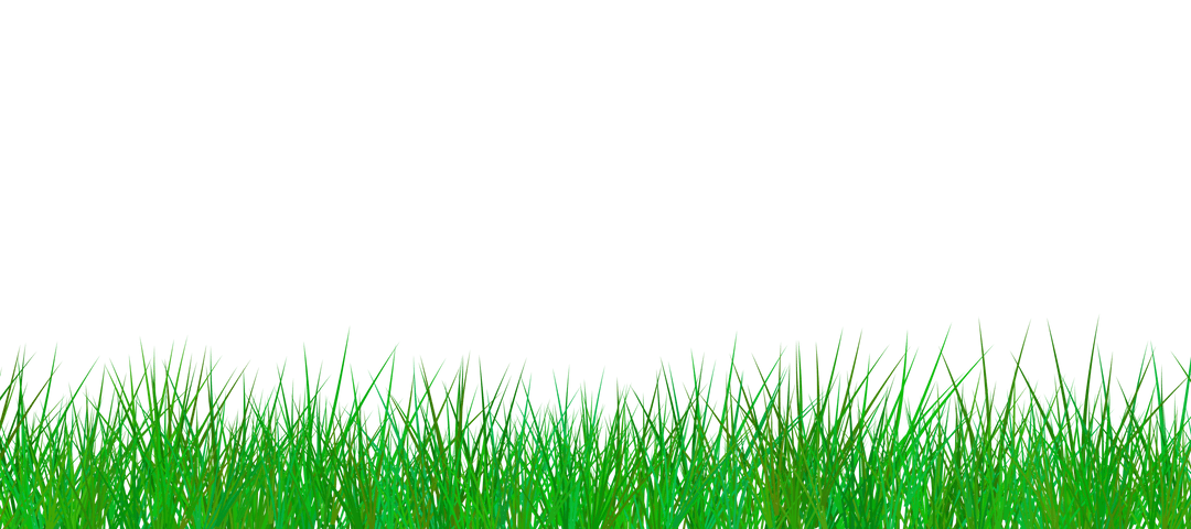Lush Green Grass on Transparent Background