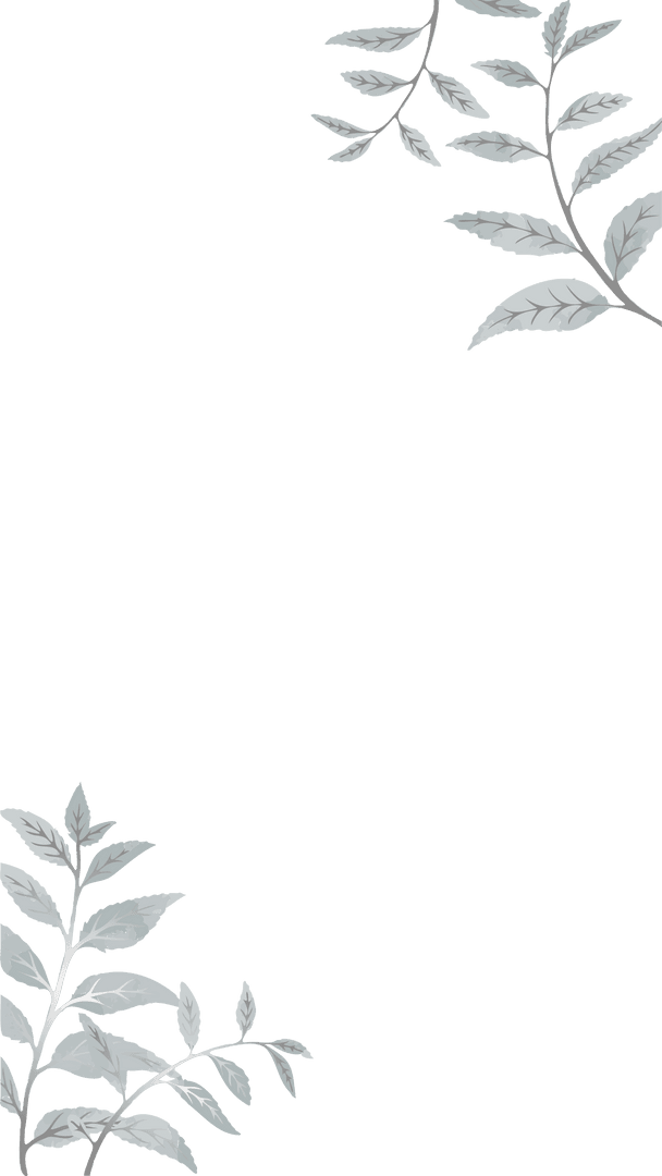 Elegant Botanical Frame with Leaves on Transparent Background