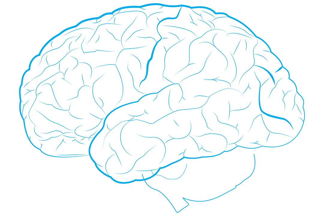 Transparent Vector Illustration of Blue Brain Outline Isolated - Download Free Stock Images Pikwizard.com