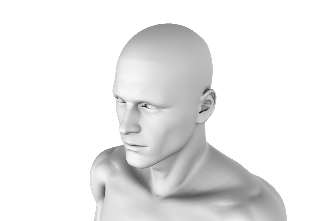 3D Model Transparent Rendering Man Isolated PNG, 3D Modeling Concept - Download Free Stock Images Pikwizard.com