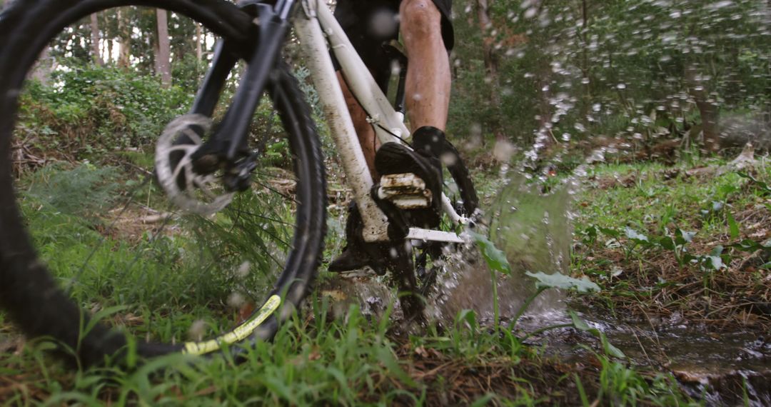 Mountain Biker Riding Through Muddy Terrain in Forest - Free Images, Stock Photos and Pictures on Pikwizard.com