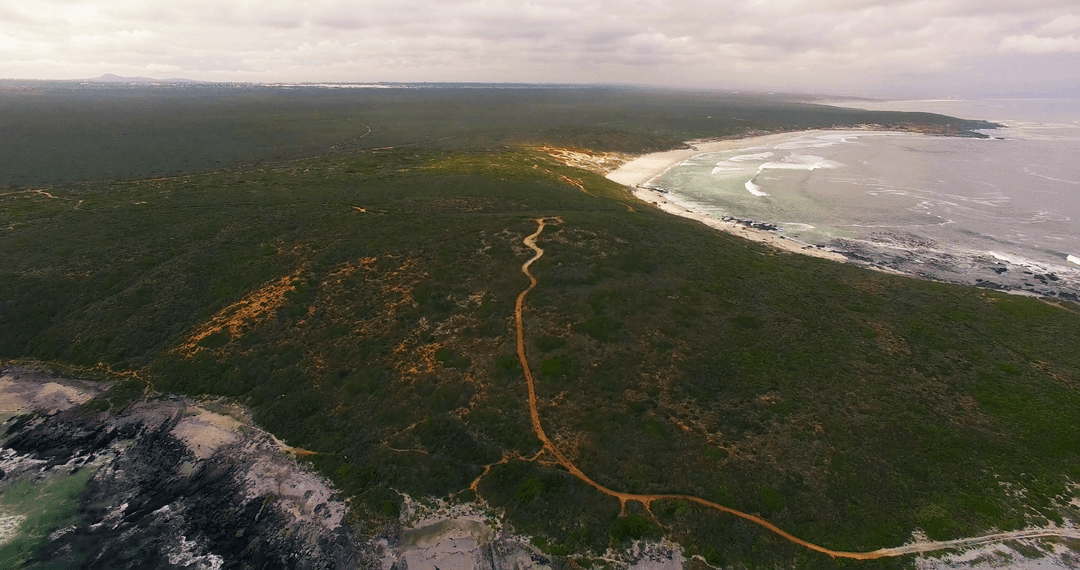 Panoramic View of Coastline with Path and Transparent Horizon