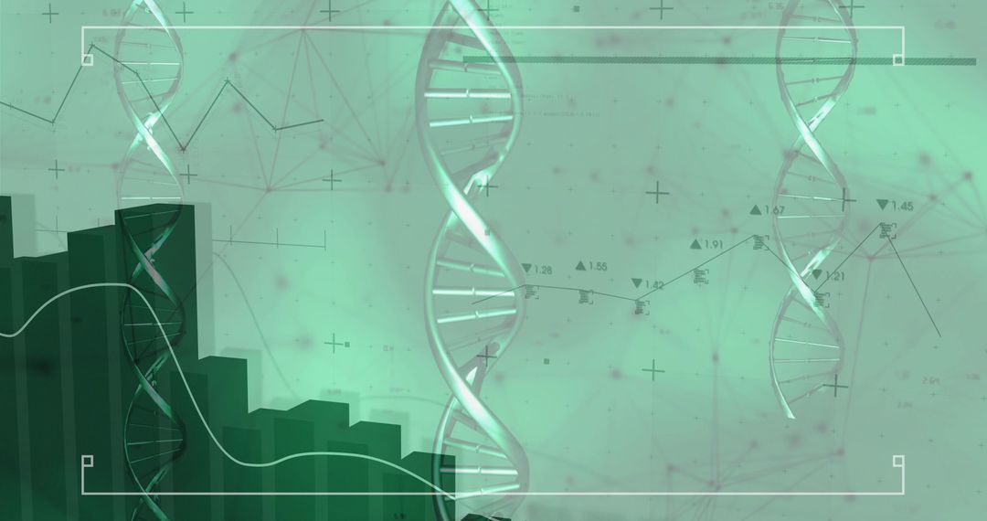 DNA Visualization Merging Genetics and Data with Network Elements