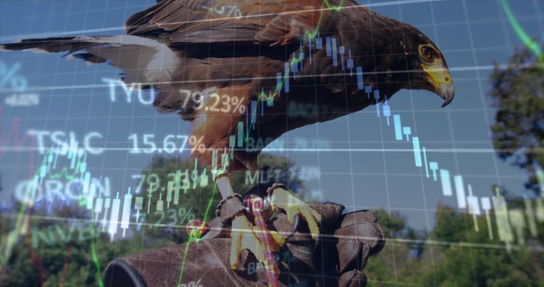 Hawk in Falconry Glove Displaying Strength and Adventure