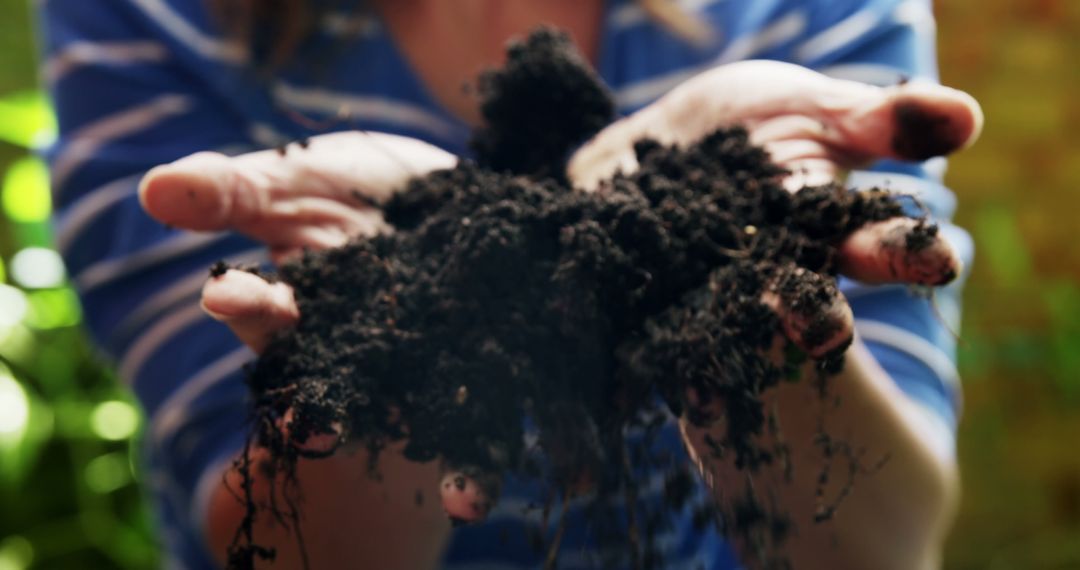 Close-up of Hands Holding Rich Soil in Garden - Free Images, Stock Photos and Pictures on Pikwizard.com